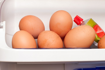 eggs in fridge