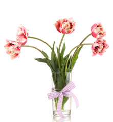 Beautiful tulips in vase isolated on white