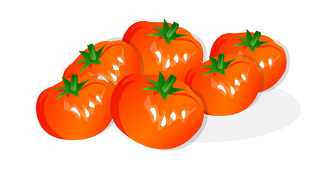 vector icon tomato