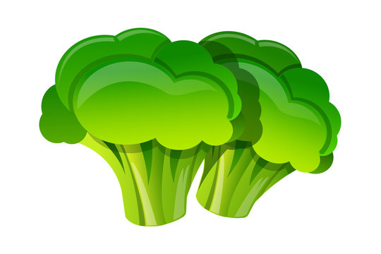vector icon broccoli