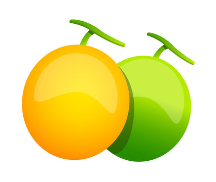 vector icon melon