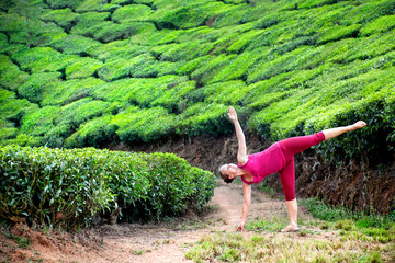 Yoga in tea plantations