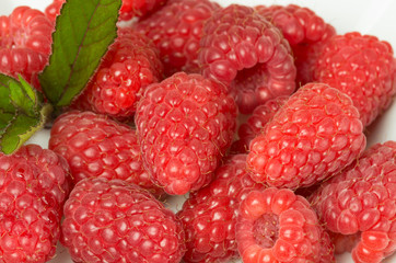 Red raspberries closeup with mint