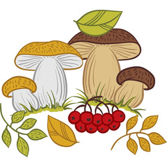 Mushrooms, leaves and berries, autumn vector illustration.