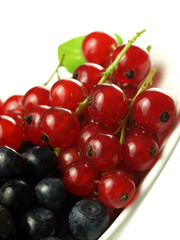 Red currant with blueberries