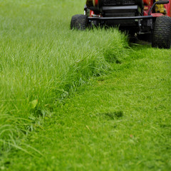 Tonte gazon