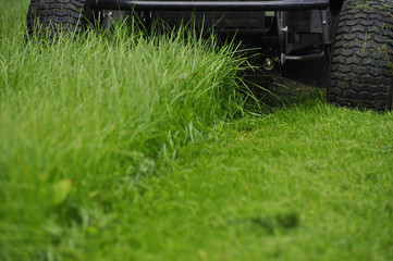 Tracteur tondeuse pelouse