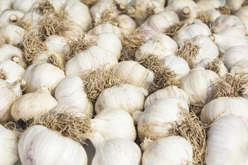 garlic background ,raw fresh food