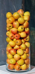 pommes, pommes, pommes, pommes