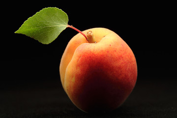 One apricot with a leaf on black background