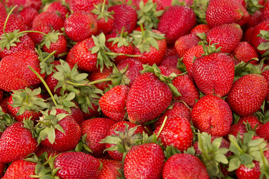 Group of fresh,red strawberries