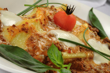 Italian / Mediterranean  cuisine - Lasagna