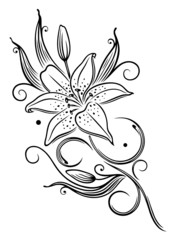 Lilie, Lilien, filigran, feminin, Ranke, Blume, Blüte © christine krahl