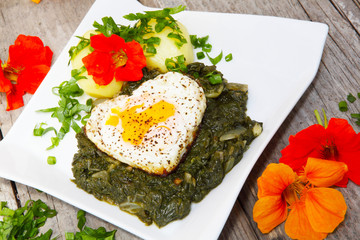 Spiegelei auf Blattspinat