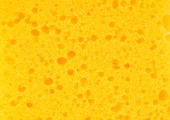 Sponge texture background