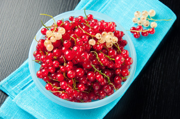 Plastic pot with red currant, view from above