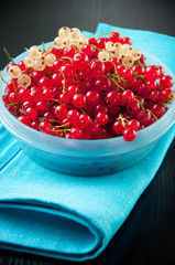 Red currant