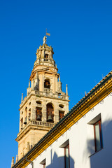 Fototapeta na wymiar bell tower of cathedral, Cordoba, Spain