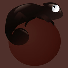 cam&eacute;l&eacute;on