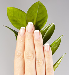 Beautiful hands with French manicure nails