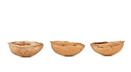Three walnut shells