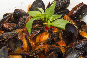 close up on mussels on white background