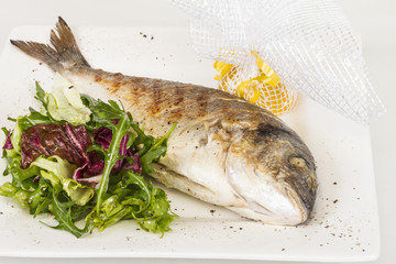 Dorada fish with salad on the white plate. Studio shot