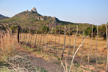 Lubango Huila