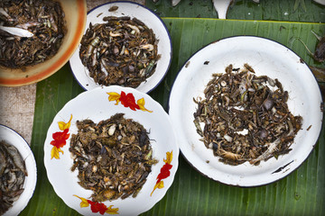Insectes comestibles au marché de Luang Prabang, Laos