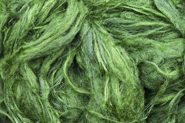 Tas d'algues cladophora à Luang Prabang, Laos