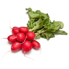 Radishes isolated on a white studio background.