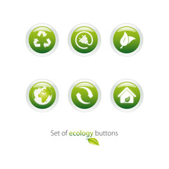 Eco green button vector set