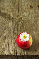 One apple a day keeps the doctor away