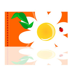 daisy background illustration