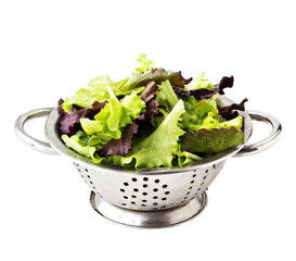 Fresh salad leaves in a metal collander