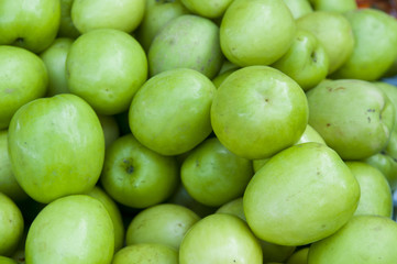 Green Monkey apple or jujubes