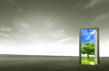 Door open on green field for environmental concept and idea