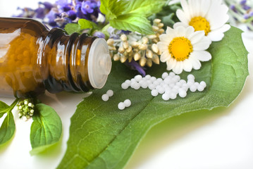 Globulis mit Heilkräutern