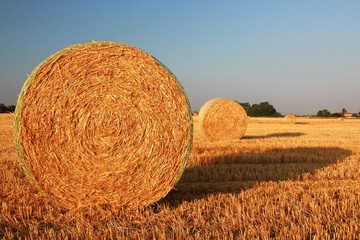 Hay bale