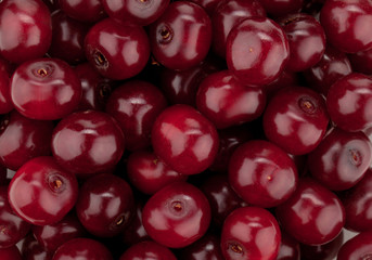 Fresh ripe cherries pattern