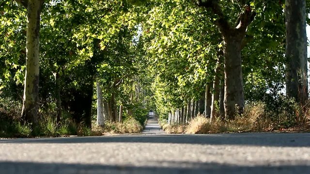 D&iacute;a de campo
