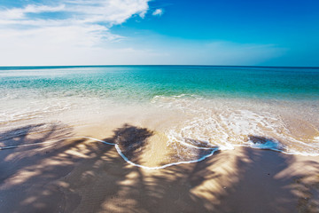 Exotic tropical beach.