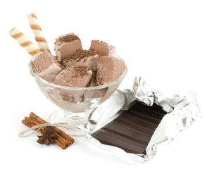 ice-cream with a chocolate