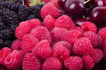 raspberries, mulberry, black currant, red currant