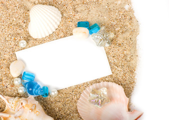 Beautiful sand background with exotic shell