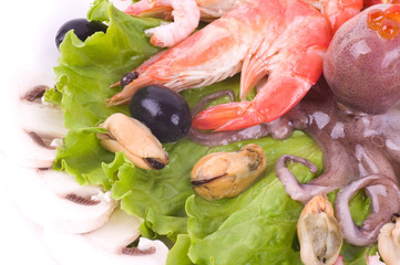 Raw cocktail of seafood on green salad with champignons