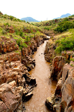 Muddy river