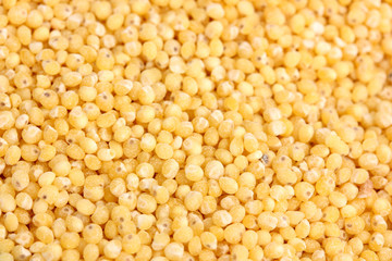 Pilled millet seeds as texture