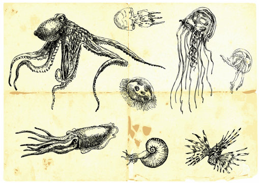 Hand-drawn collection. Marine life - SEA MONSTERS.