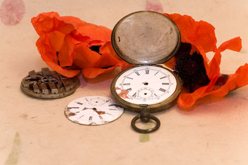 Old pocket watch and poppy